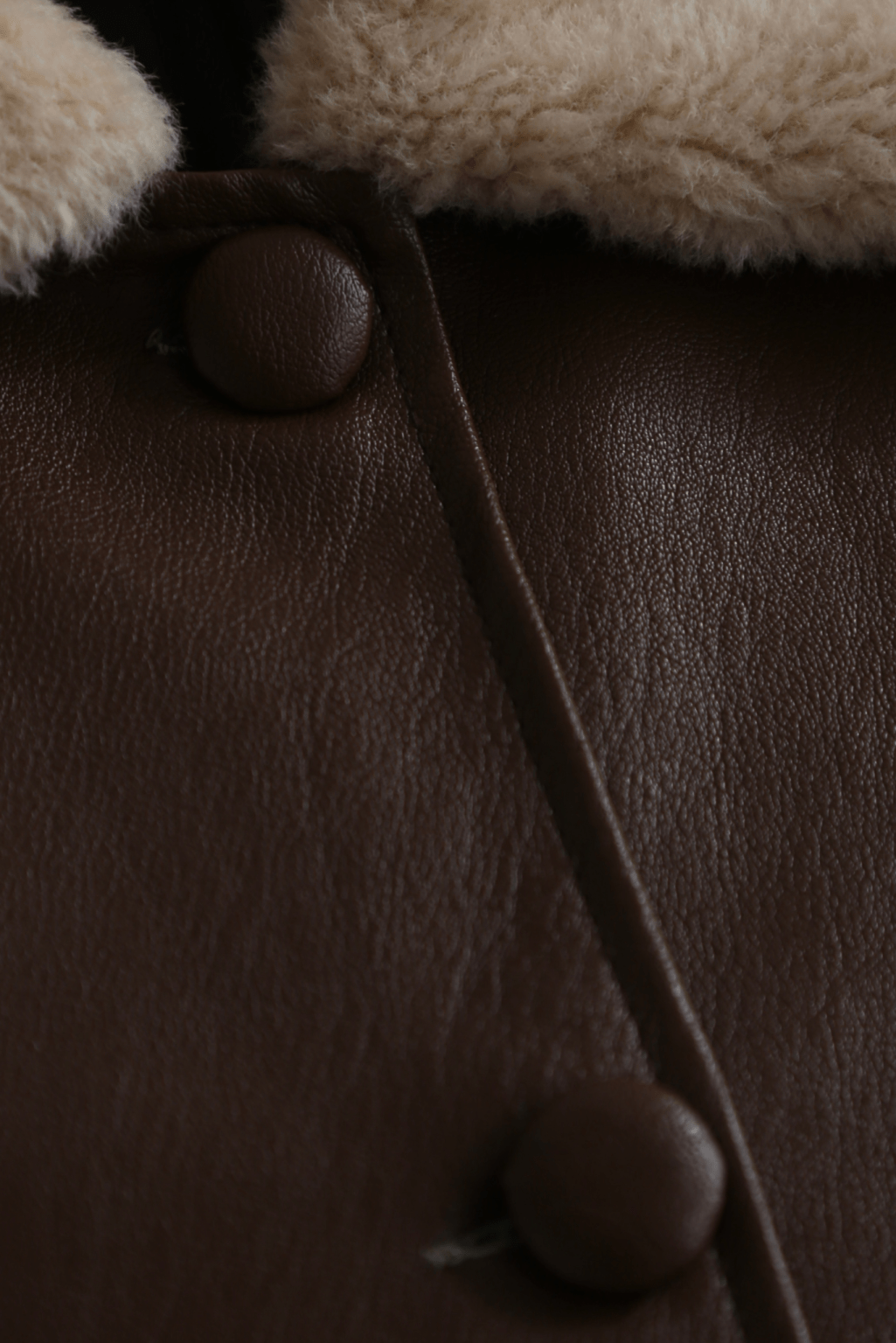 Shearling Mustang Leather Jacket Brown