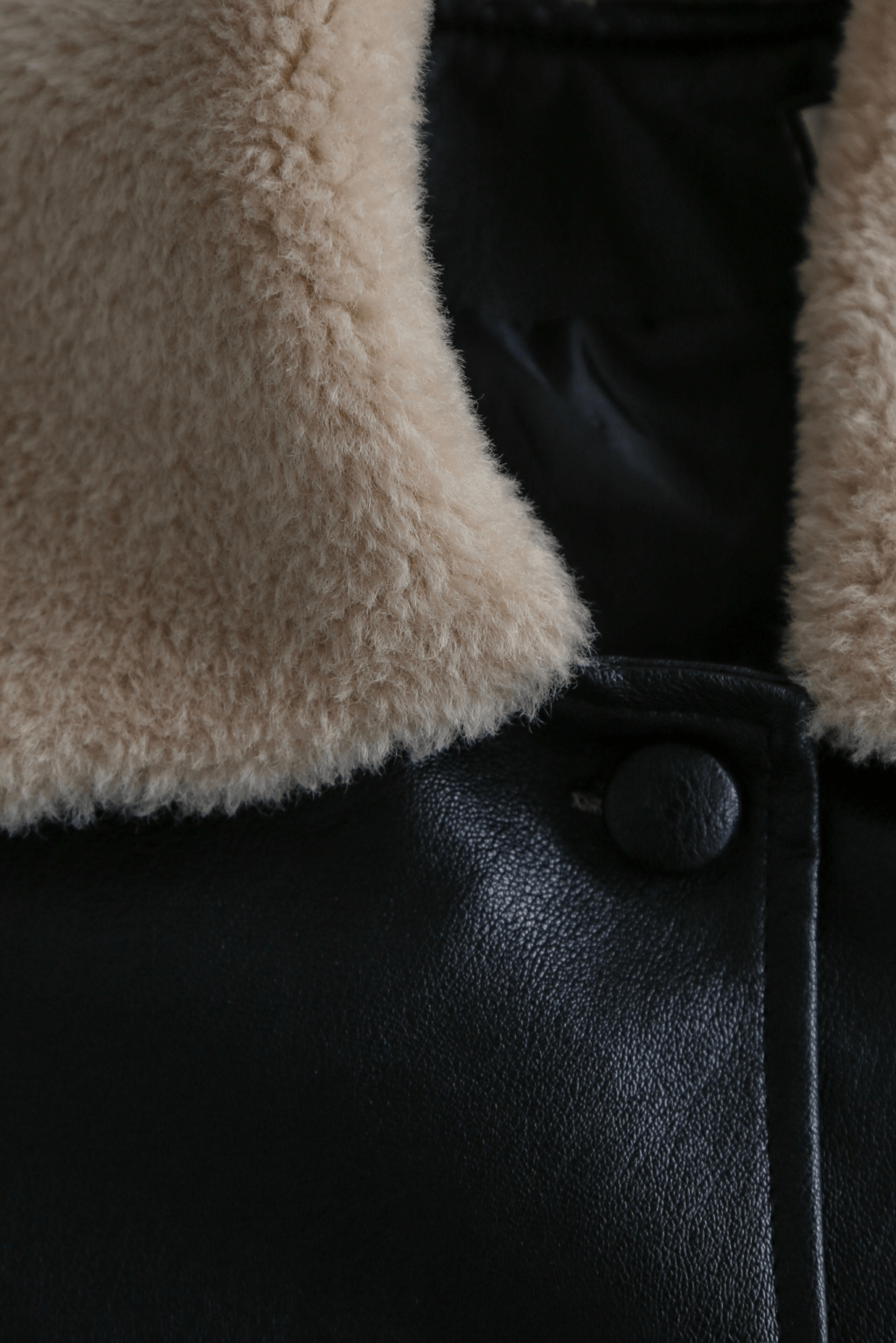 Shearling Mustang Leather Jacket Black